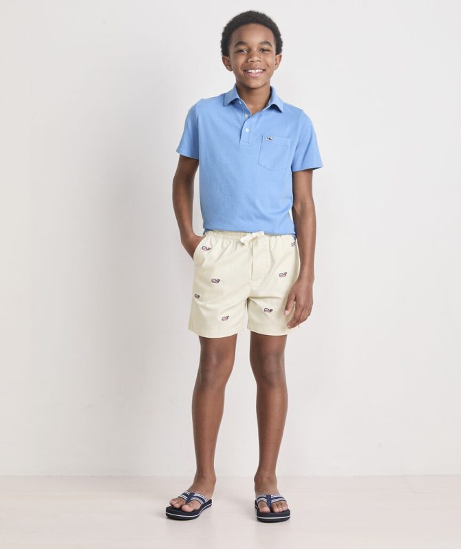 Boys' Americana Embroidered Pull-On Chino ShortsBoys' Americana Embroidered Pull-On Chino Shorts - Image 3